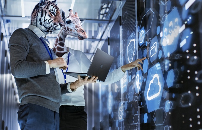 Configurer la collecte de logs en environnement AWS avec la CI/CD cover