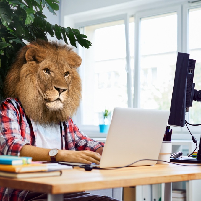 Remédiation des principales failles de sécurité sur Windows cover